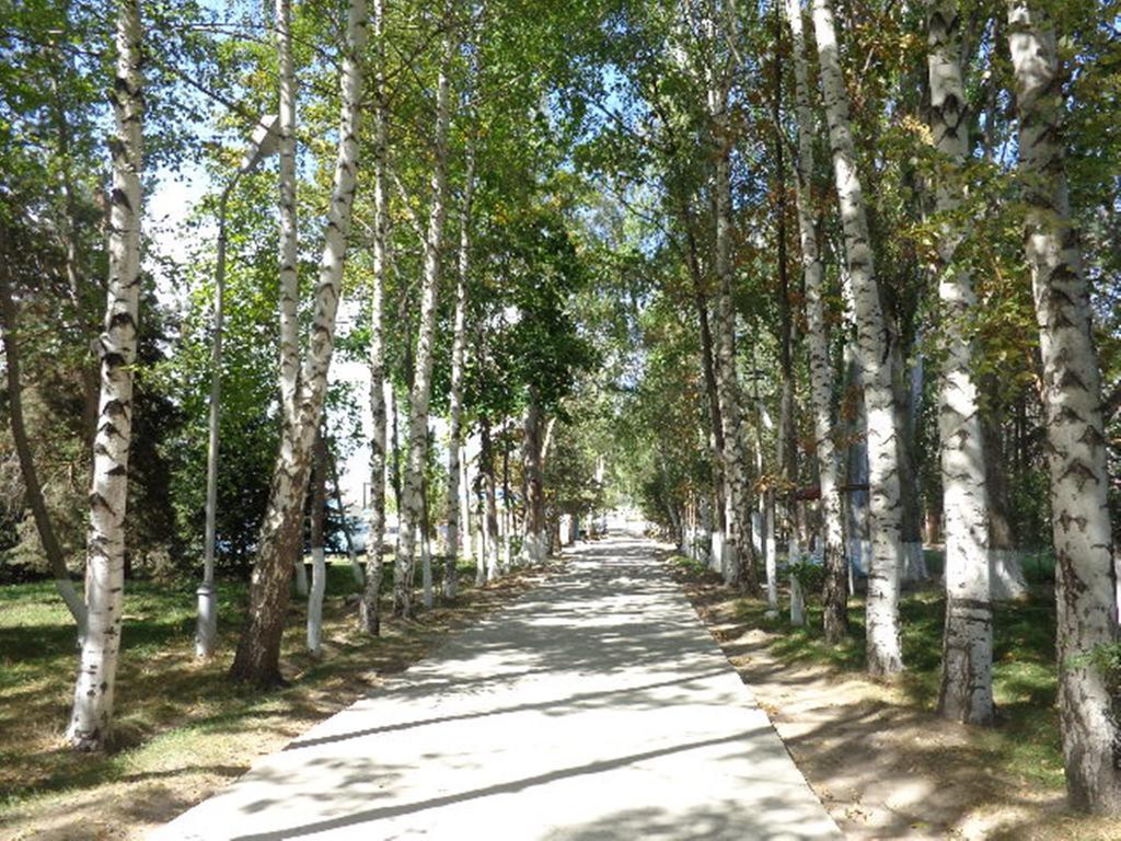 Chon-Sary-Oy Guest House At Do Altyn - Kum المظهر الخارجي الصورة